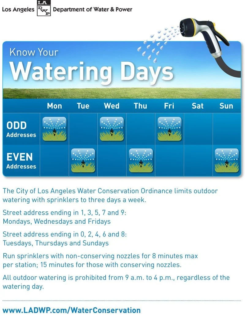 Watering-Days-Flyer-English (1)