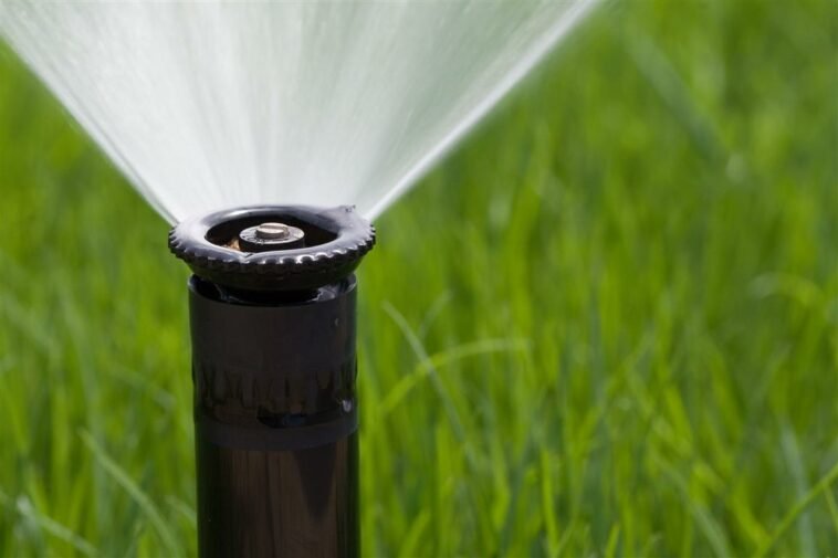 Water Conservation Tips while in a Drought