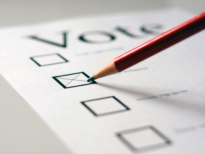 voting.jpg