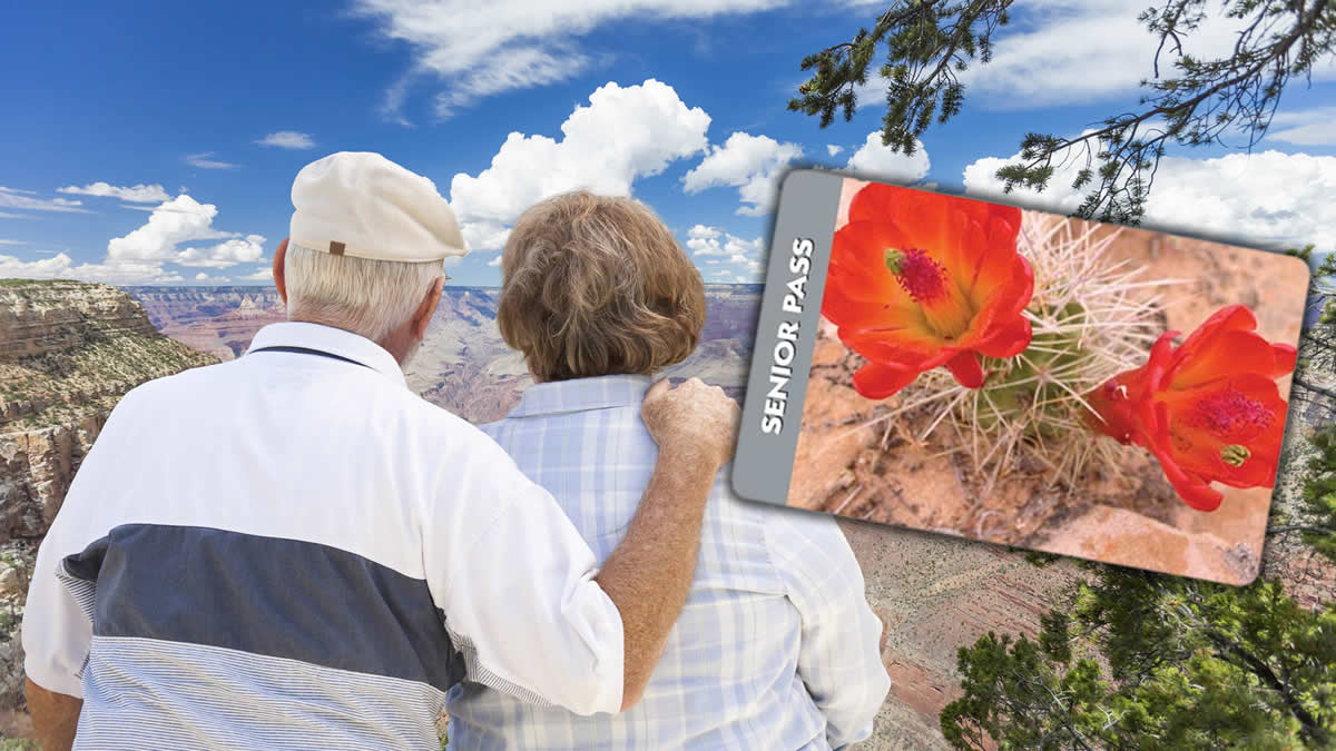 National-Park-Service-Senior-Pass