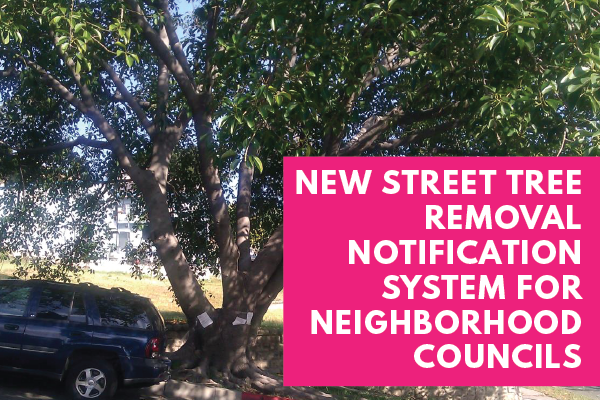 New Tree Removal Notification for Neighborhood Councils