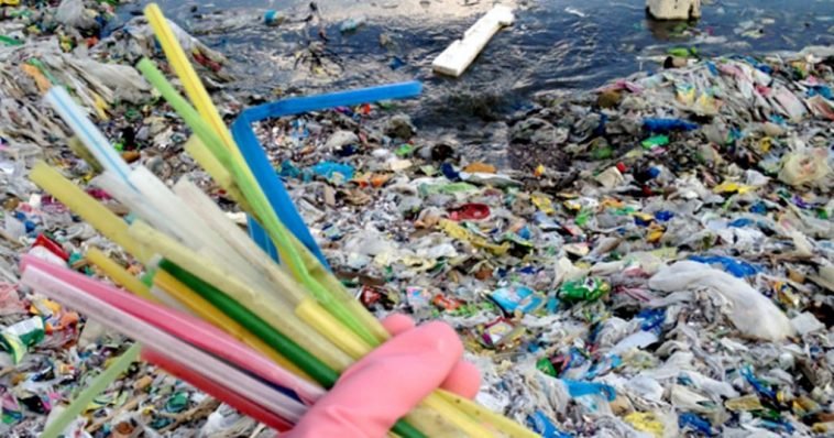 City of L.A. phasing out single-use plastic straws by 2021