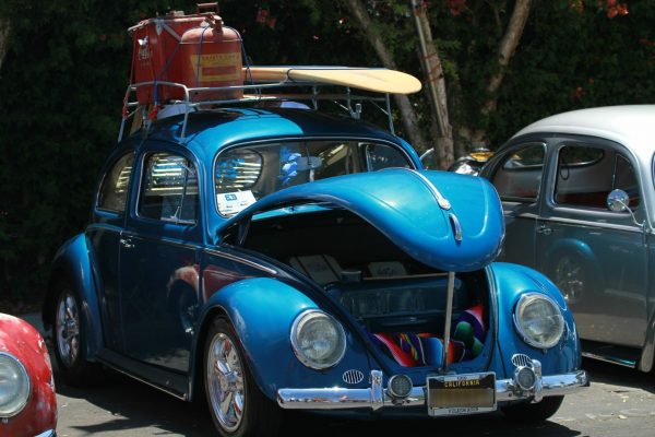 IMG_4013_Beetle59