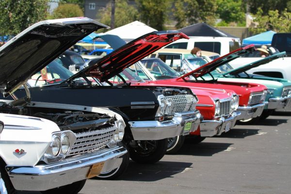 IMG_4014_Impalas