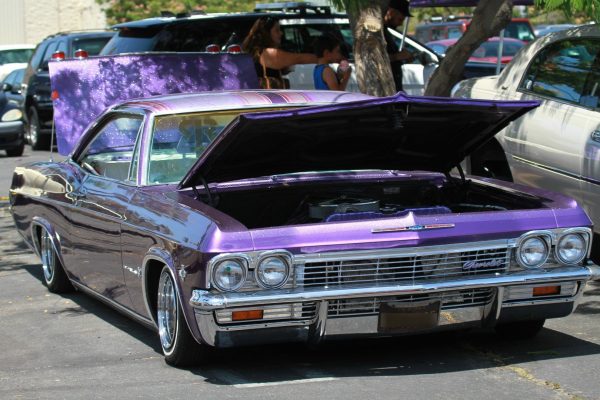 IMG_4051_Impala65