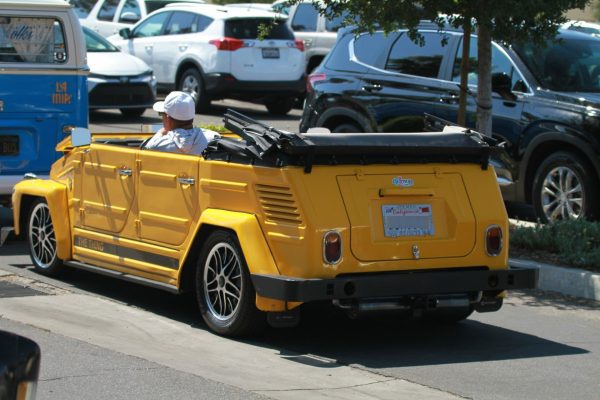 IMG_4245_VW_Thing77