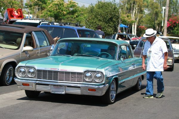 IMG_4251_Impala64