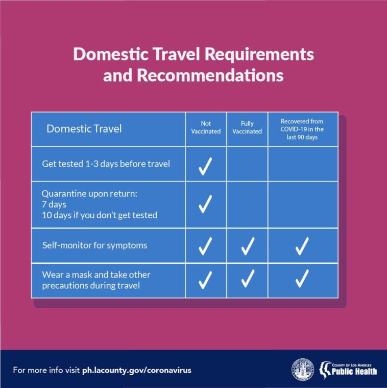 Domestic and International Travel Requirements and Recommendations