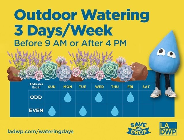 LADWP Outdoor Watering Update
